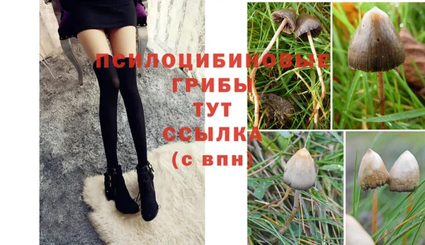 хмурый Балахна