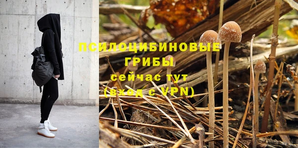 прущие крисы Баксан