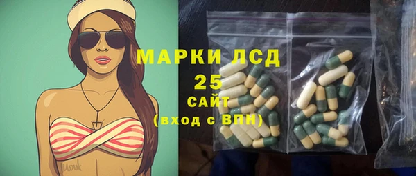 индика Балабаново