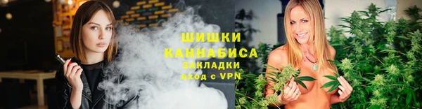 индика Балабаново