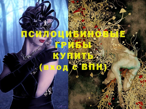 хмурый Балахна