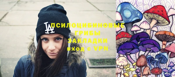 индика Балабаново